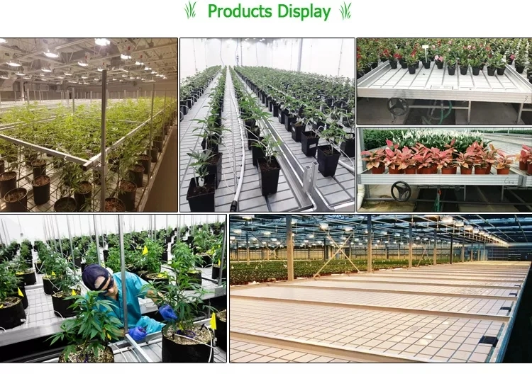 Commercial Rolling Bench Grow Table Greenhouse Ebb and Flow Table
