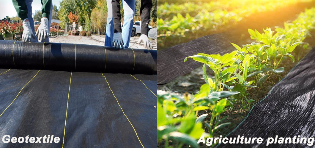 Weed Mat Fabric Weed Weed Block Fabric Black Plastic Ground Cover Shandong Plastic Product with High Quality