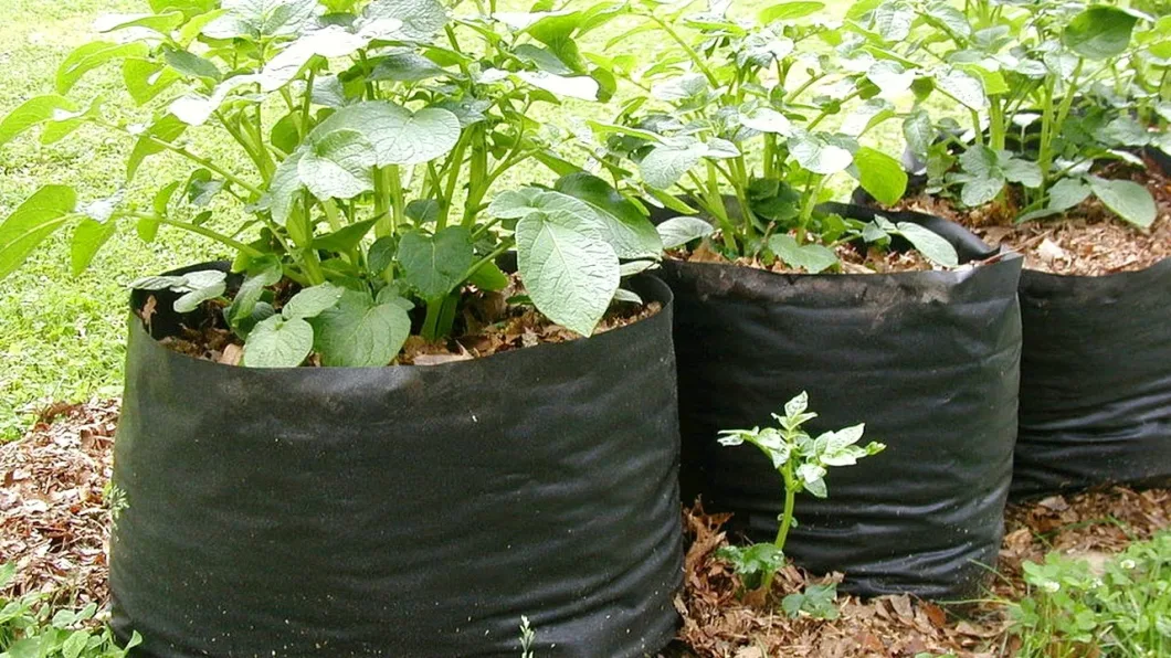 7 Gallon Garden Fabric Plant Grow Bag Mushroom Plastic Growing Bag Strawberry Planting Customized Potato Growing Bag