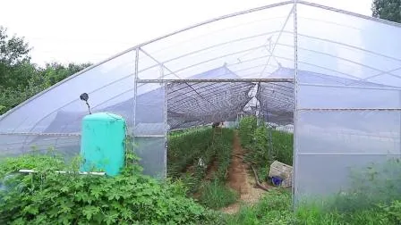 農業/家禽/野菜/トマト/イチゴ用の水耕栽培システムを備えた単一パネルのアーチ型ガーデン温室