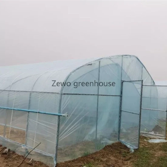 ストレージ/フラワー/プレハブハウス用のPVCコーティングを備えた低コスト農業ガーデンミニトンネル温室