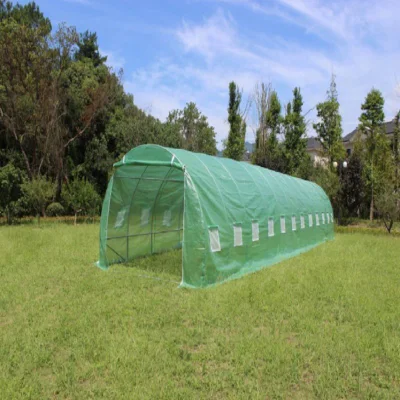 ベルナデロで販売中の低コストの農業用ミニガーデン温室栽培テント