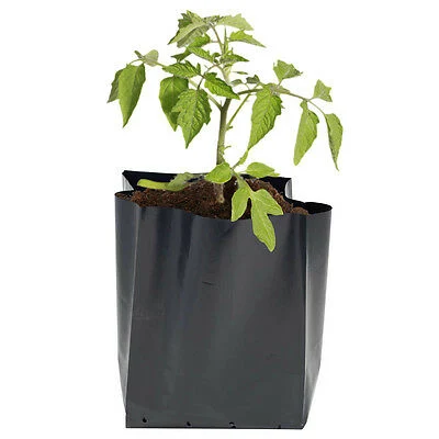 植物バッグ - 植物コンテナバッグ - カスタム苗バッグ